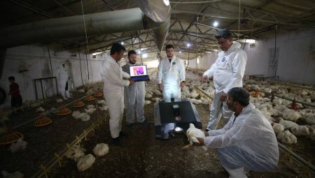 İlk Yerli Kanatlı Sağlık Takip Robotu